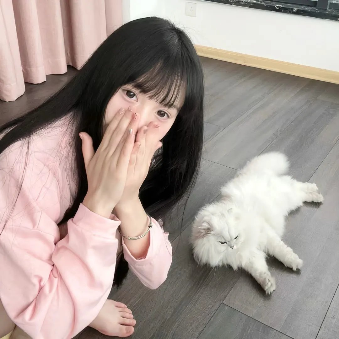 激光鹰